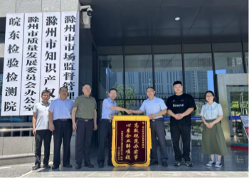 政府服務助企業，企業致謝送錦旗
